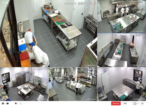 白玉蘭穹頂何時綻放？上海網(wǎng)球大師賽場館幕后保障與建筑節(jié)能系統(tǒng)揭秘
