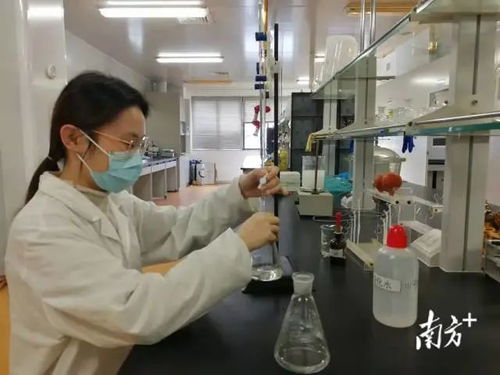 提速創(chuàng)品牌，龍湖大健康產業(yè)2025年營收目標突破250億元